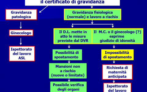 Maternità, assistenza e ricondizionamento dei dispositivi medici… un approccio razionale per ASO